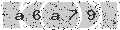 verify code