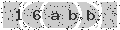 verify code