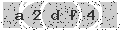 verify code