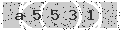 verify code