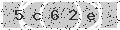 verify code