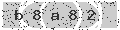 verify code