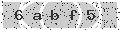verify code
