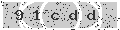 verify code