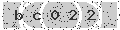 verify code