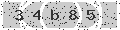 verify code